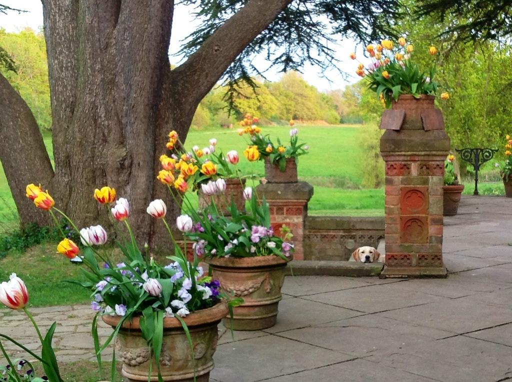 Bed and Breakfast Hambledon House Godalming Esterno foto